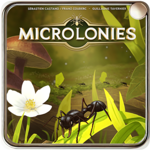 Microlonies - Fourmi Bouledogue -04